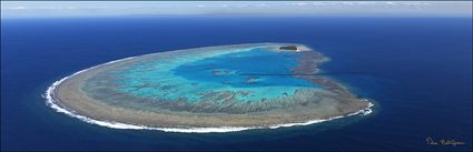 Lady Musgrave Island - QLD (PBH4 00 18354)